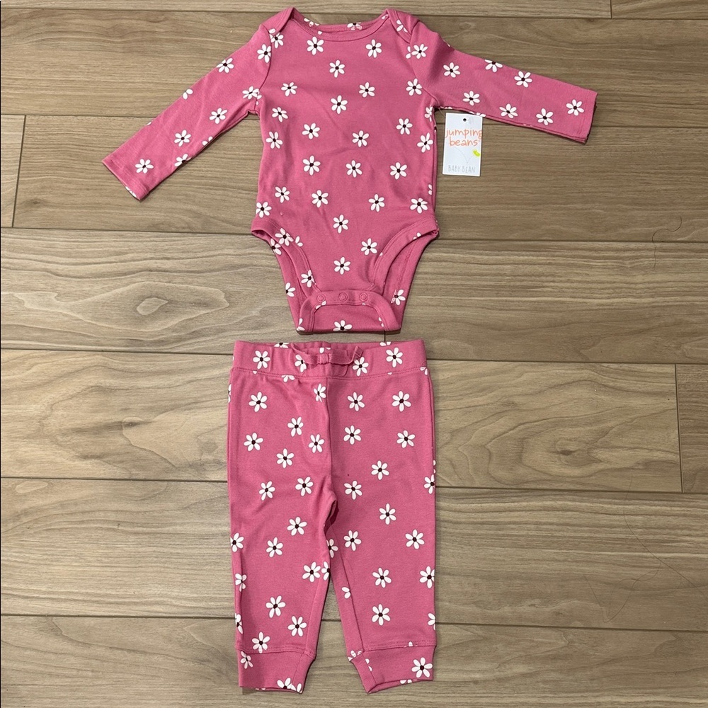 Pink Floral Baby Onesie and Pants Set